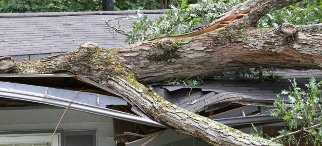 Temp&ecirc;te Am&eacute;lie : comment obtenir le certificat d&rsquo;intemp&eacute;rie ?