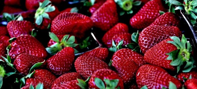 Pourquoi il pourrait ne pas y avoir de fraises cette ann&eacute;e ?