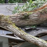 Tempête Amélie : comment obtenir le certificat d’intempérie ?