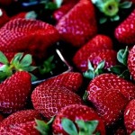 Pourquoi il pourrait ne pas y avoir de fraises cette année